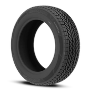 Bridgestone Weatherpeak 225/60R17 99H BSW
