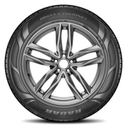Radar Dimax Etouring 1 195/65R15 91H BSW