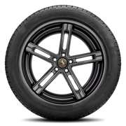 Continental Contiwintercontact TS 830 P 205/55R17XL 95H BSW
