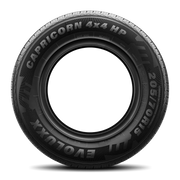 Evoluxx Capricorn 4X4 HP 255/55R19XL 111V BSW
