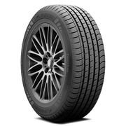 Fuzion Fuzion Touring 195/65R15 91H BSW