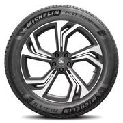 Michelin Pilot Alpin 5 Suv 295/35R21XL 107V BSW