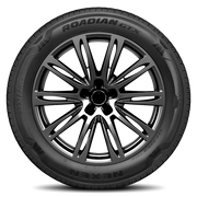 Nexen Roadian GTX 235/60R18 103H BSW