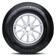 Radar Angler RST22 ST215/75R14 C 102L BSW