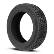 Bridgestone Weatherpeak 225/60R18 100H BSW